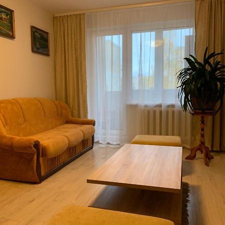 Cosy Appartment In Great Location Kaunas Luaran gambar